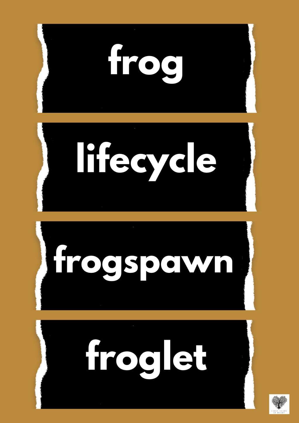 Frog Lifecycle Vocabulary Labels