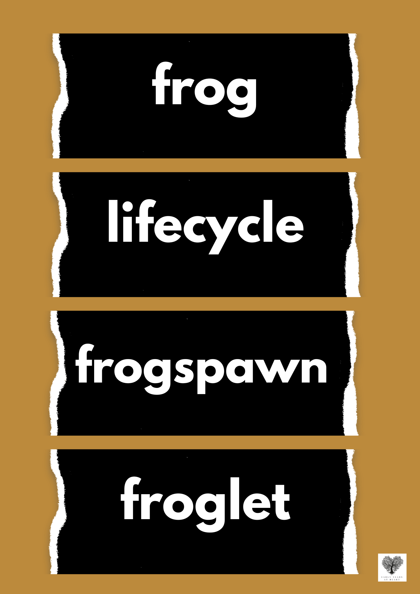 Frog Lifecycle Vocabulary Labels
