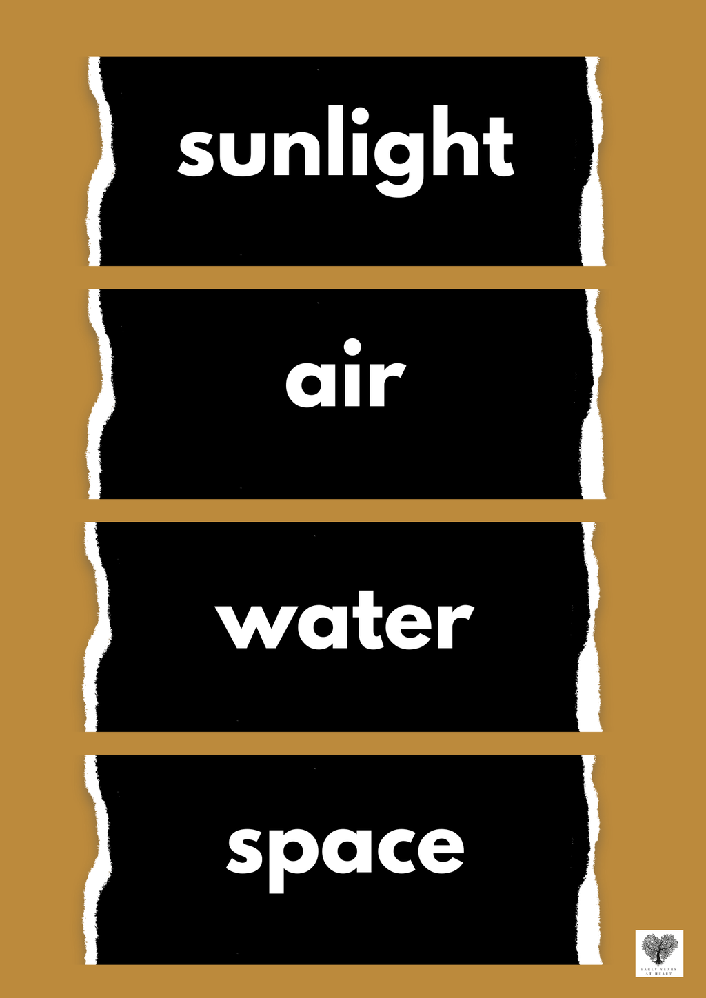 Plants and Growing Vocabulary Labels