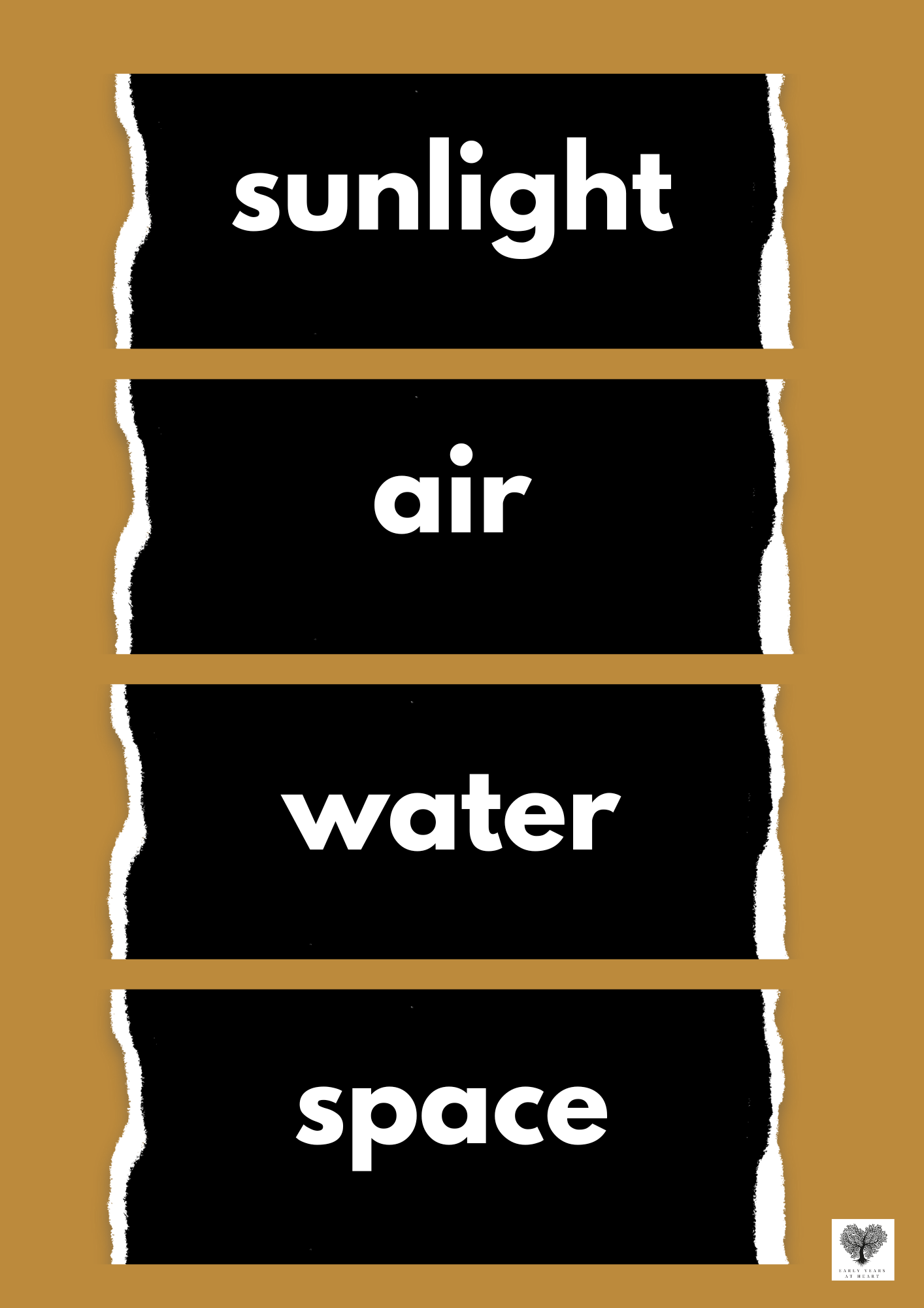 Plants and Growing Vocabulary Labels
