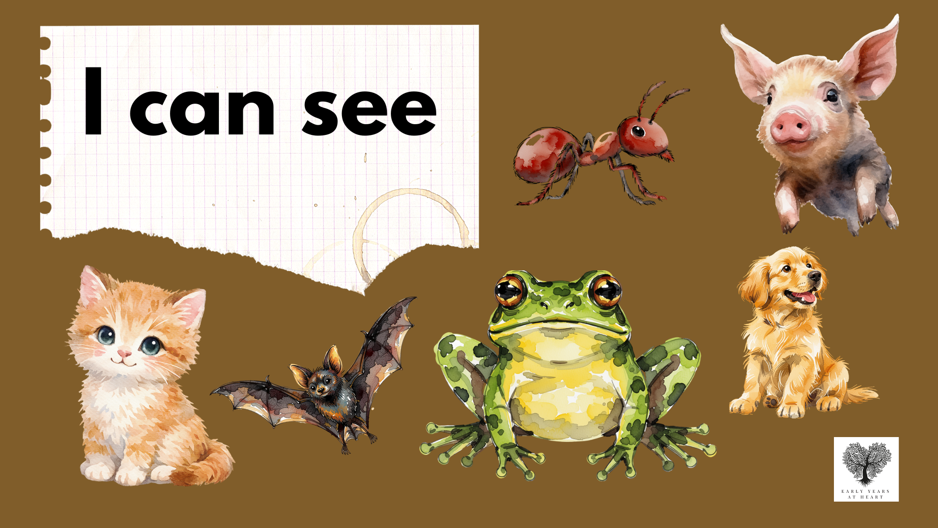 I Can See... Presentation