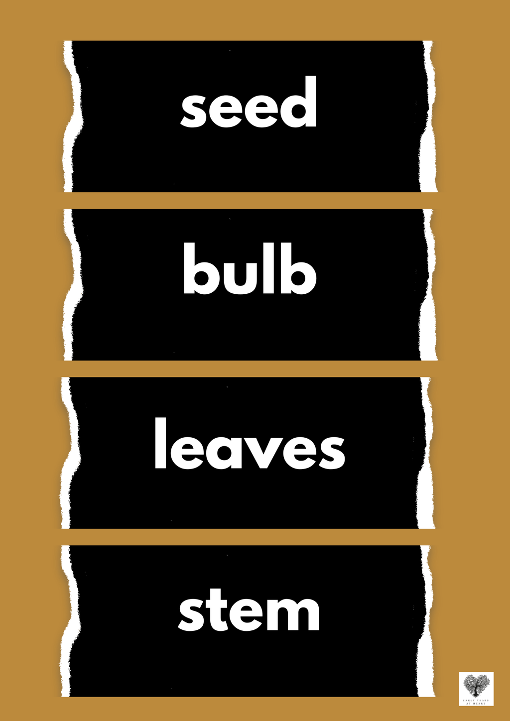 Plants and Growing Vocabulary Labels