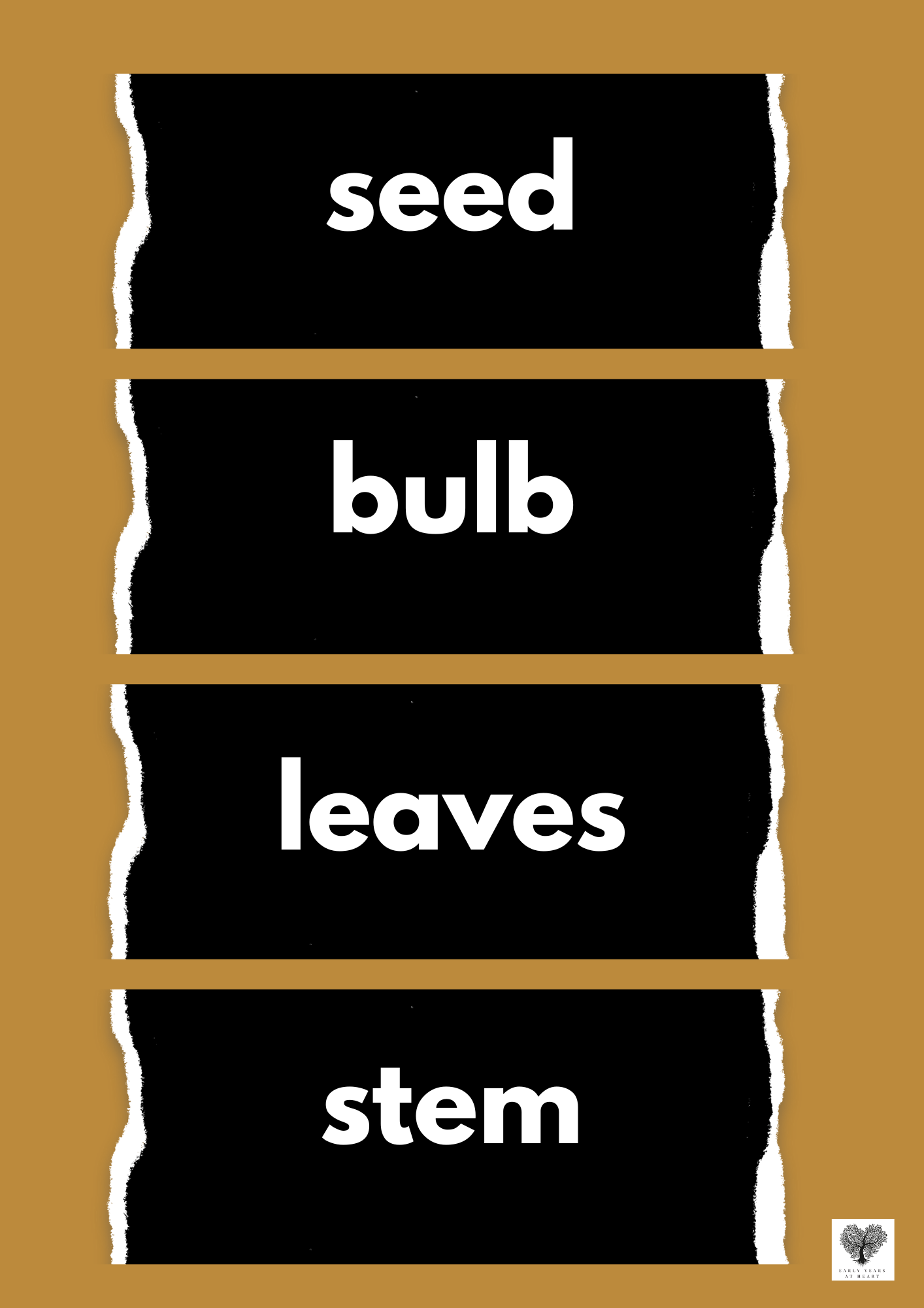Plants and Growing Vocabulary Labels