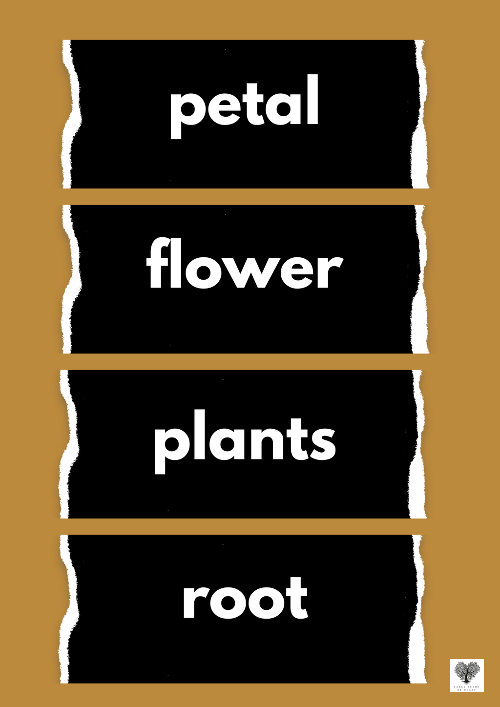 Plants and Growing Vocabulary Labels