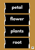 Plants and Growing Vocabulary Labels