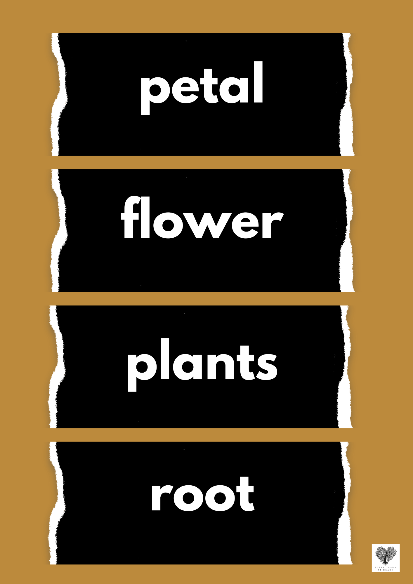 Plants and Growing Vocabulary Labels