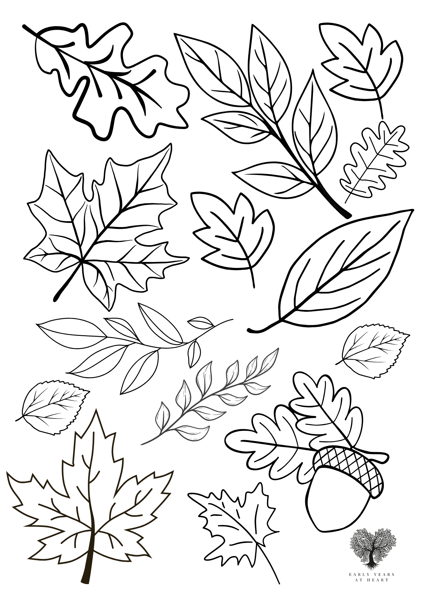 Autumn Leaves Colouring Sheet
