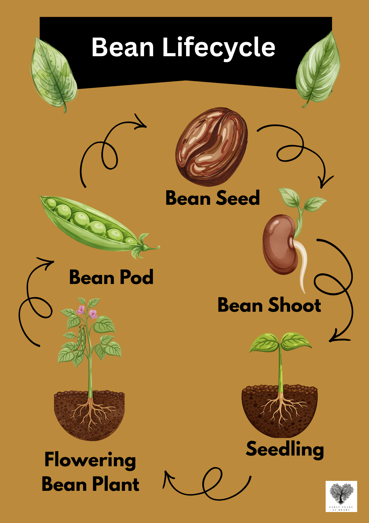 Bean Lifecycle Poster