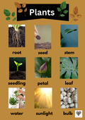 EYAH Plants Poster