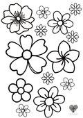 Fine Motor Sheet (Flowers)