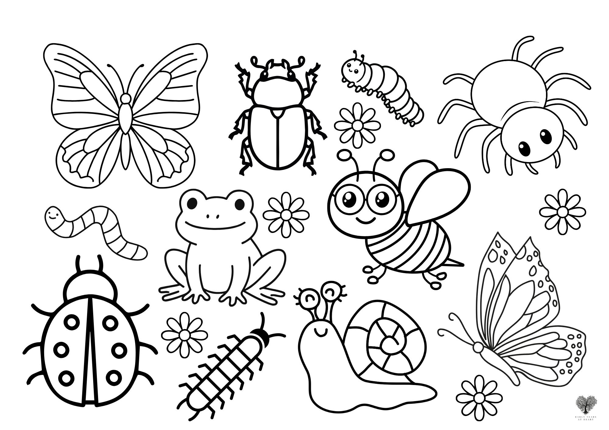 Minibeast Colouring Sheet