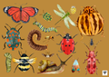 Minibeast Playdough Mat